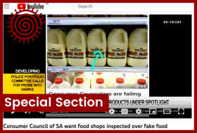 Consumer Council of SA Want Food Shops Inspected over Fake Food." YouTube. August 25, 2018a. Video, 0:02:18,            https://www.youtube.com/watch?v=OWcN2pdI9d0.